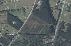 27043428