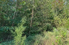 27048002