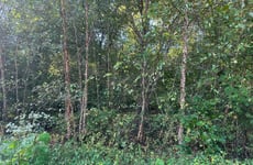 27048001