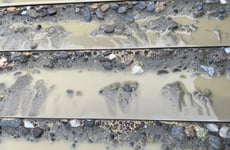 27132982
