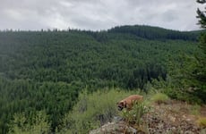 27252887