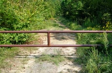 27529130