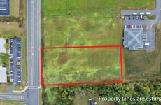 30081310