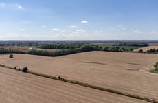27418065