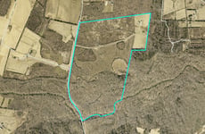 27515167