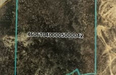 27631994