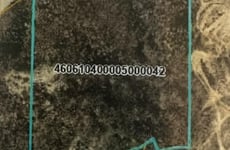 27679695