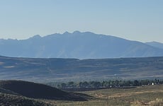 28007774