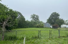 28163636