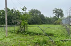 28163635