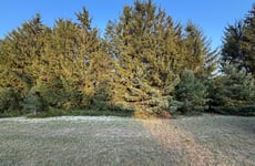 28351037