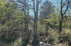 28376965