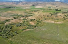 28669269