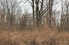 28672664