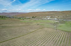 32026591