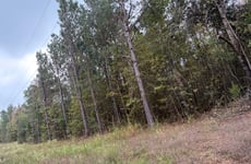 28852757
