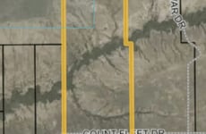 29457793