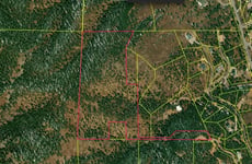 29457831
