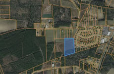 29457953