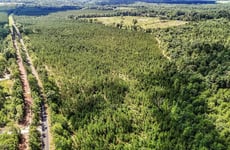 29458587