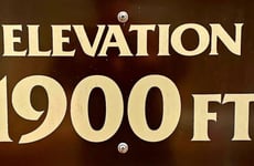 29461260