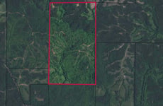 28968431
