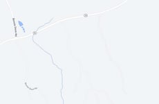 28968449