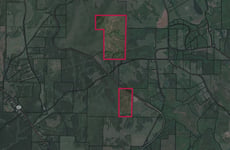28969249