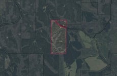 28969259