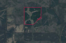 28969321