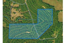 28998941