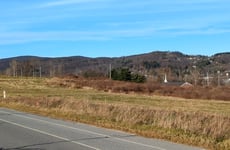 29020111