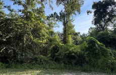 29054727