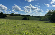 29103538