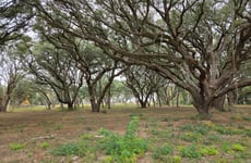 29105355