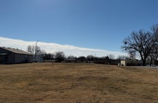 29353390