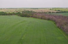 29256950