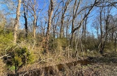 29265665
