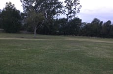 29324533