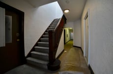 29346417