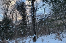 29354002