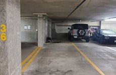 29354372