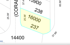 29418669