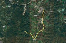 29428834