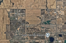 29446734