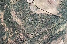 29469725