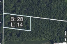 29467665