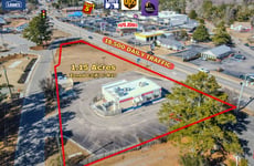 29493024