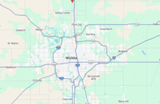 29499532
