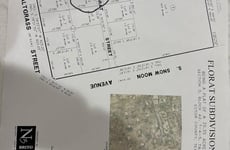 29505387